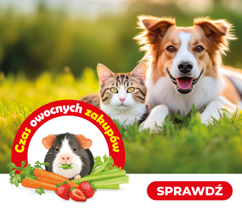 Czas owocnych zakupów w Kakadu Zoo - Gazetka czerwiec 2025